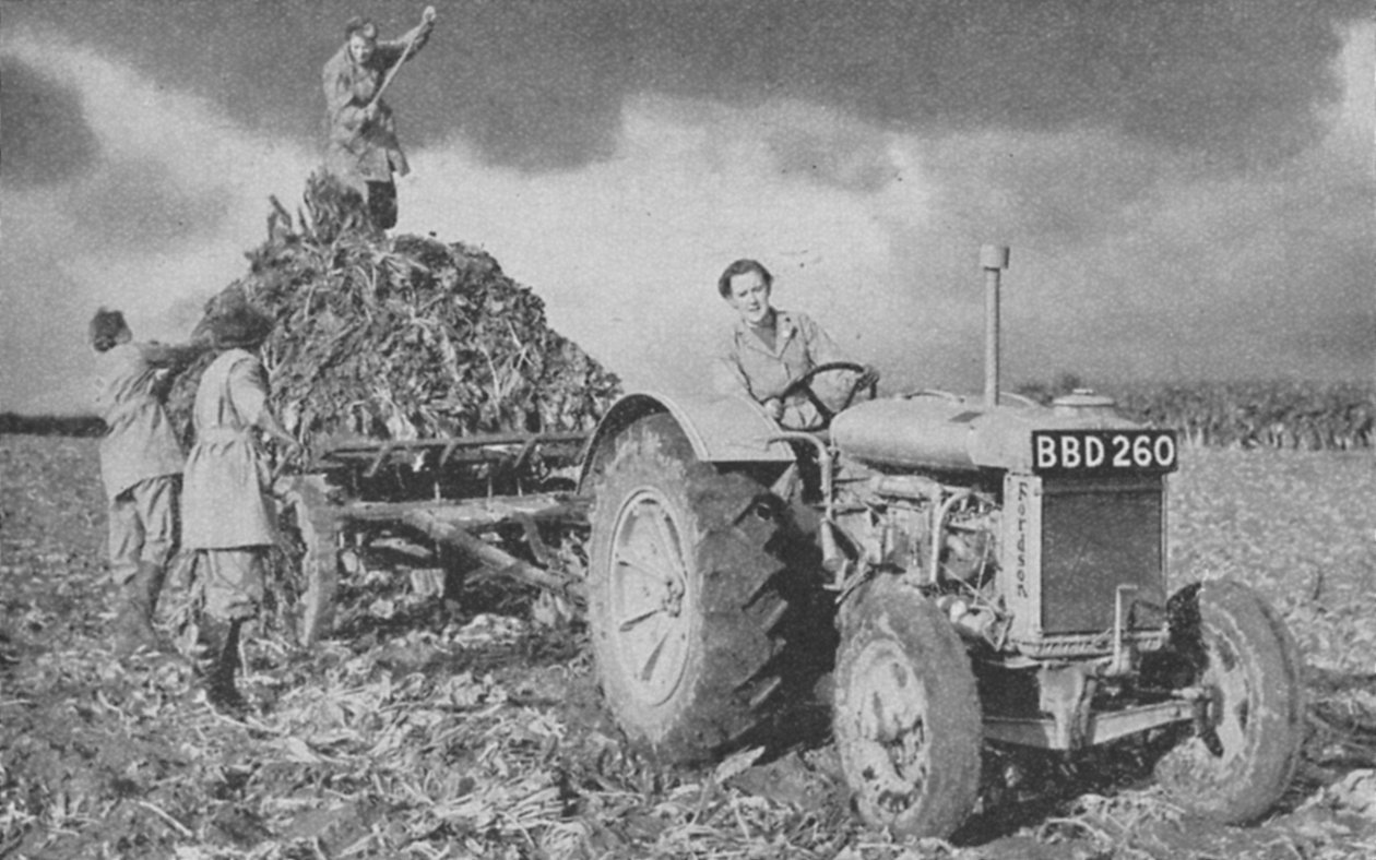 Kvinnors landarmé lyfter en skörd, andra världskriget, 1940 av Unbekannt