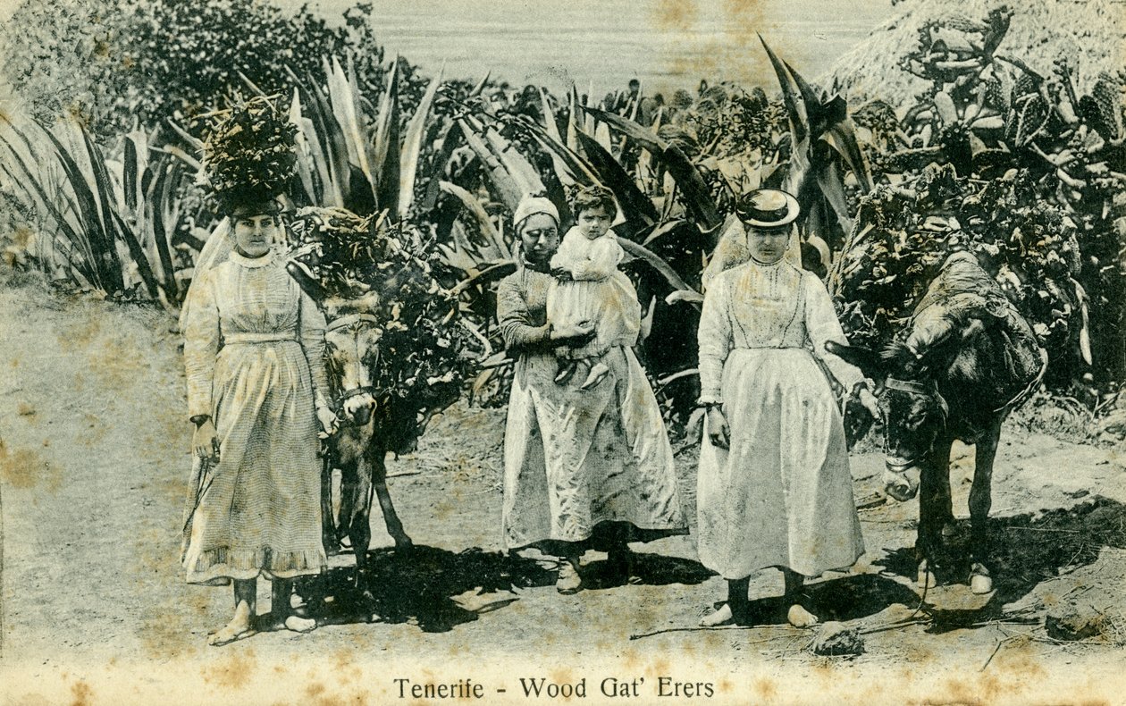 Vedplockare, Teneriffa, Kanarieöarna, tidigt 1900-tal av Unbekannt