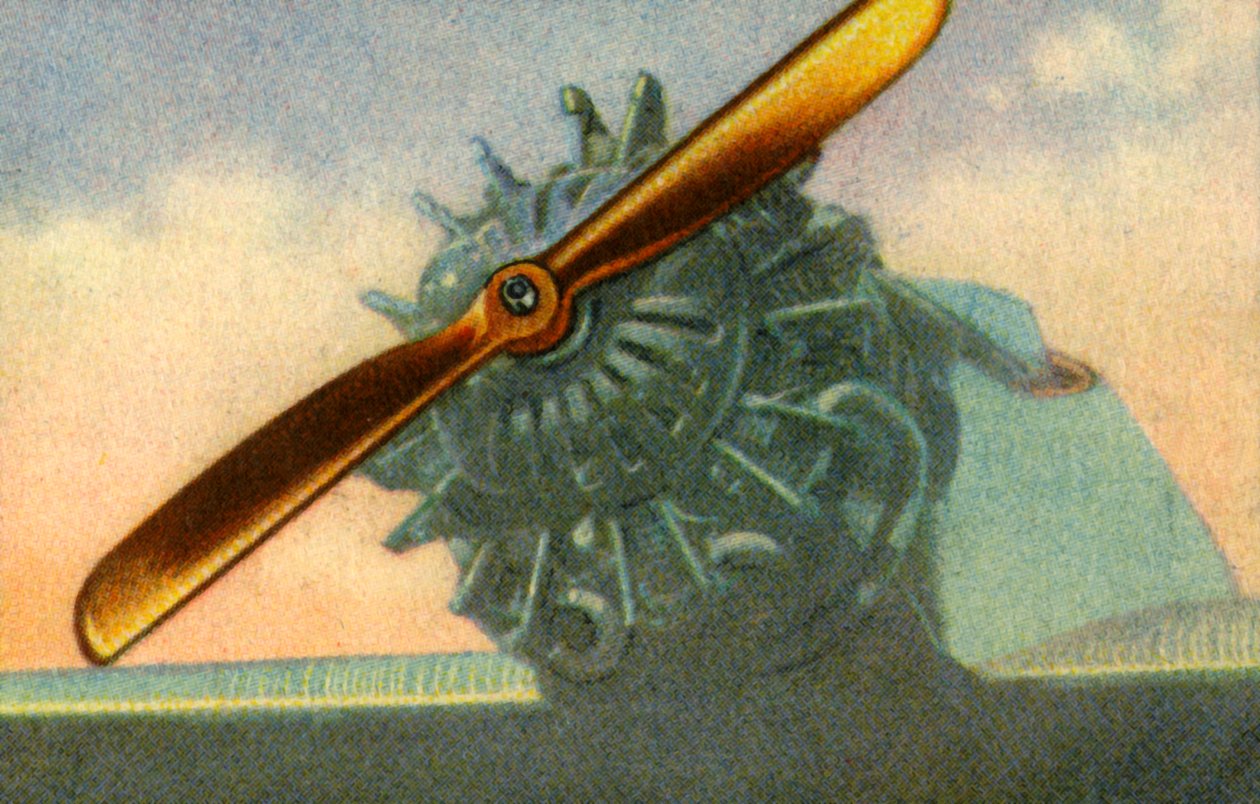 Träflygplanspropeller tillverkad av företaget Schwarz Propeller-Werk, 1932. av Unbekannt