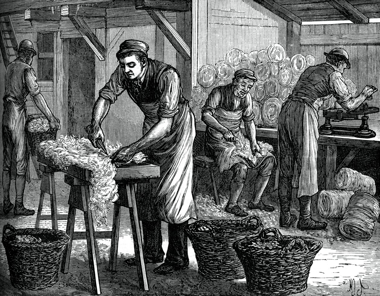 Wool sorters, c1880 av Unbekannt