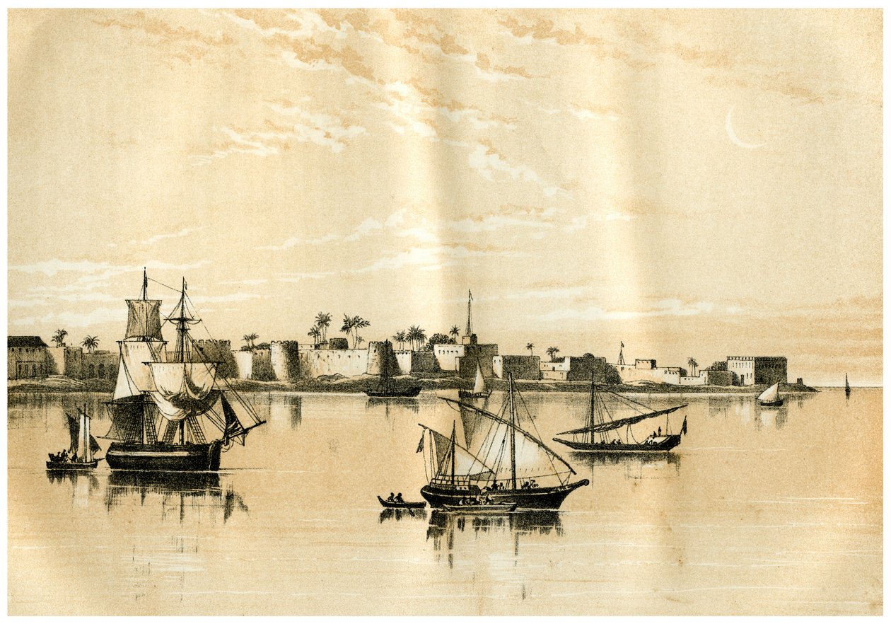 Zanzibar från havet, 1883 av Unbekannt