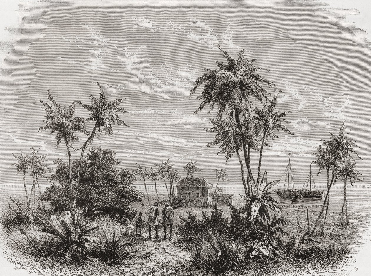 David Livingstones hus i Zanzibar, Tunisien, Östafrika, illustration från "The World in the Hands", graverad av Henri Theophile Hildibrand (1824-97), publicerad 1878. av Unbekannt Unbekannt