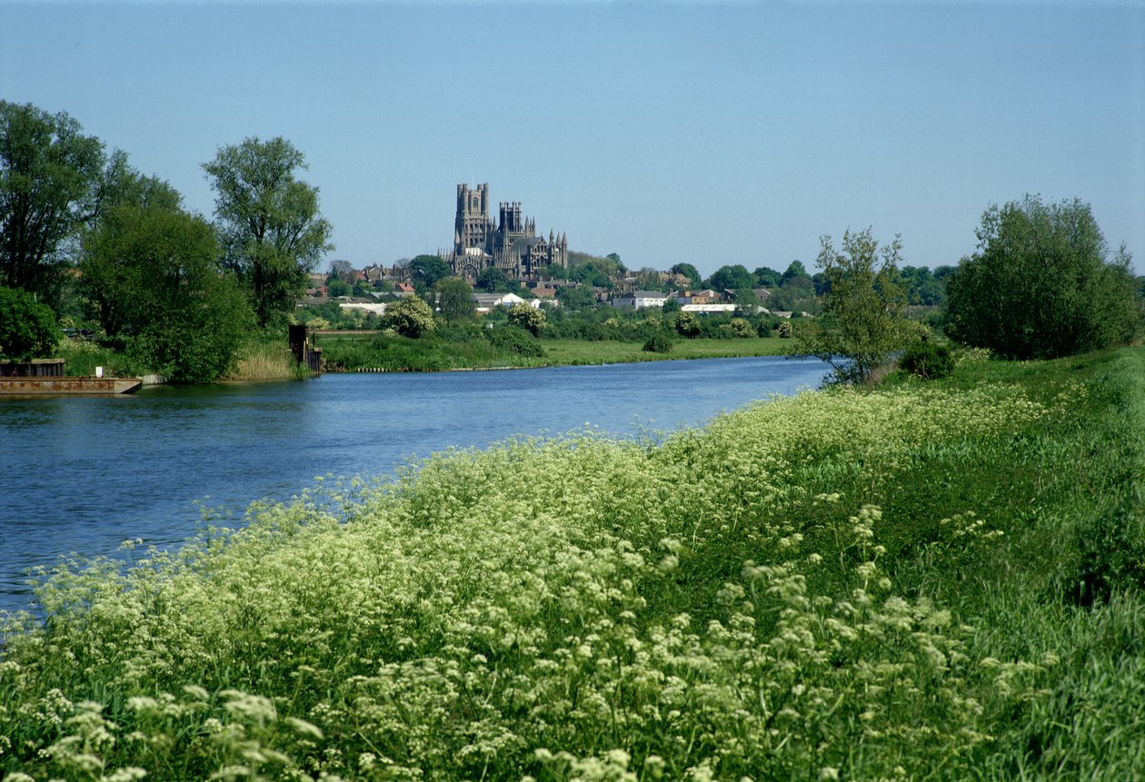 Ely-katedralen och floden Ouse av Unbekannt Unbekannt