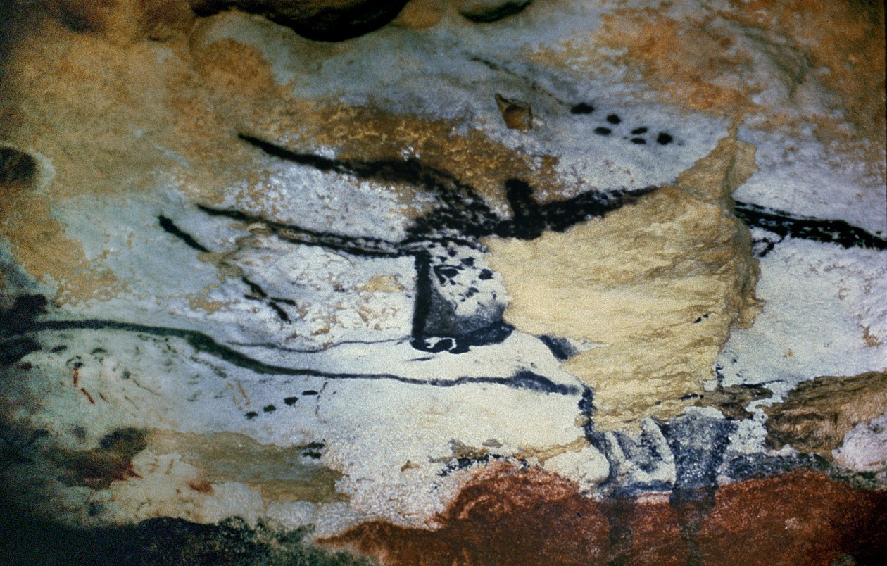 Klippemaleri af en tyr med lange horn, Hall of Bulls, ca. 17000 f.Kr. av Unbekannt Unbekannt