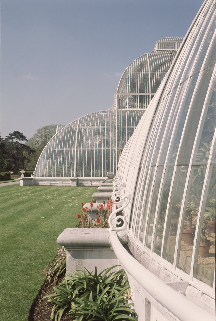 Sektion av Palmhuset, designad av Decimus Burton, 1800-81 av Unbekannt Unbekannt