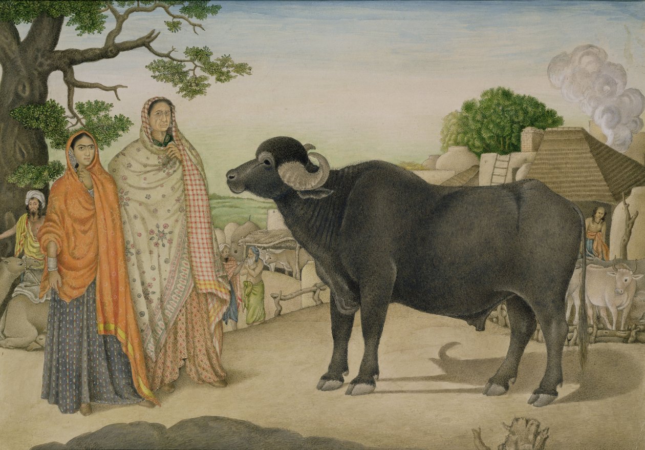 Två bykvinnor och en buffel i byn Rania, ca 1816, indisk av Unbekannt Unbekannt