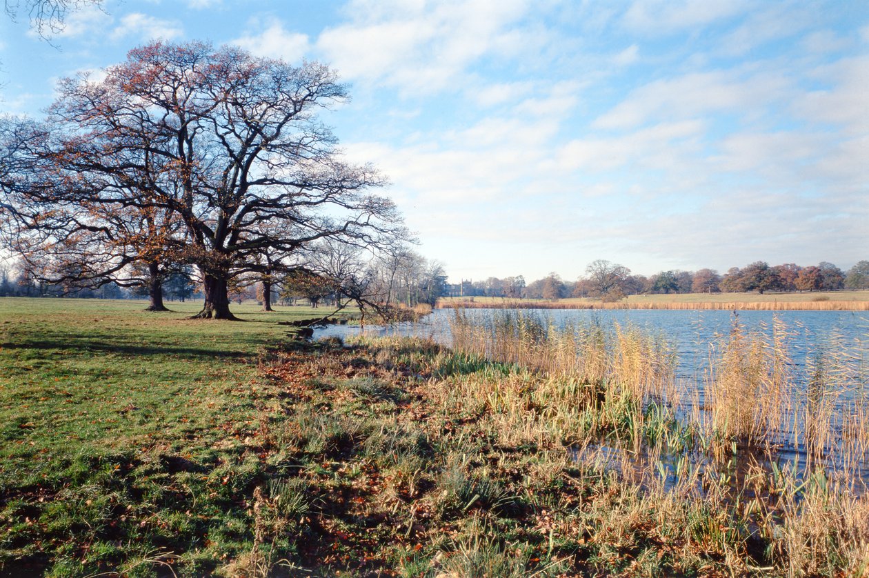 Utsikt över sjön, Corsham Court, Wiltshire av Unbekannt Unbekannt