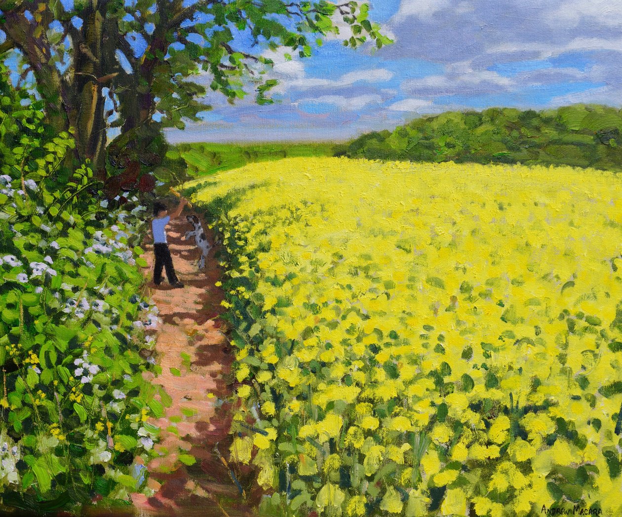 Pojke och hans hund, Radbourne, Derby.2014 av Unbekannt Unbekannt