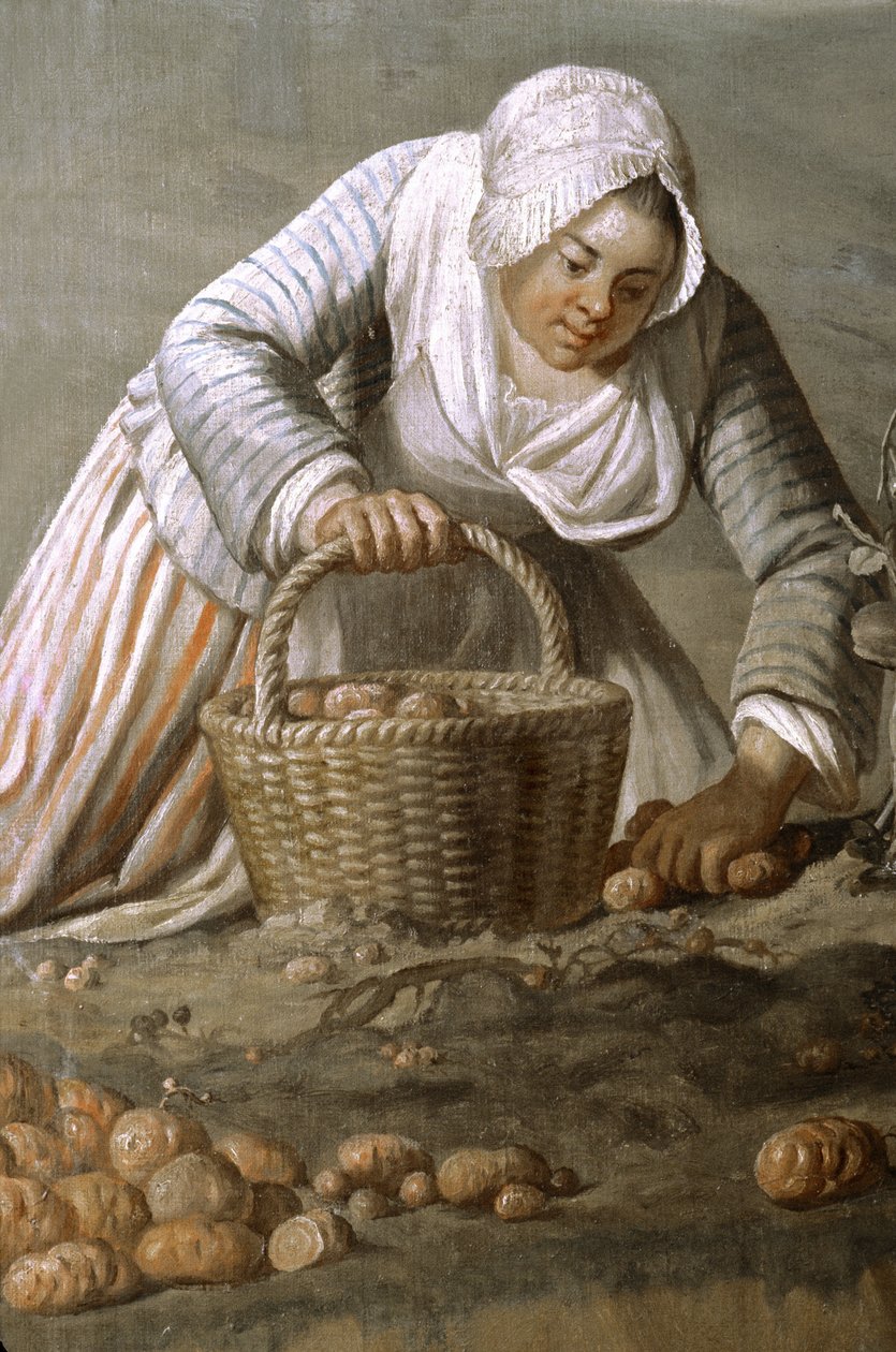 Frankrike - Somme - avdelning 80 - Amiens - Hotel de Berny - Museum of Local Art - Detaljmålning av Dominique Doncre av Unbekannt Unbekannt