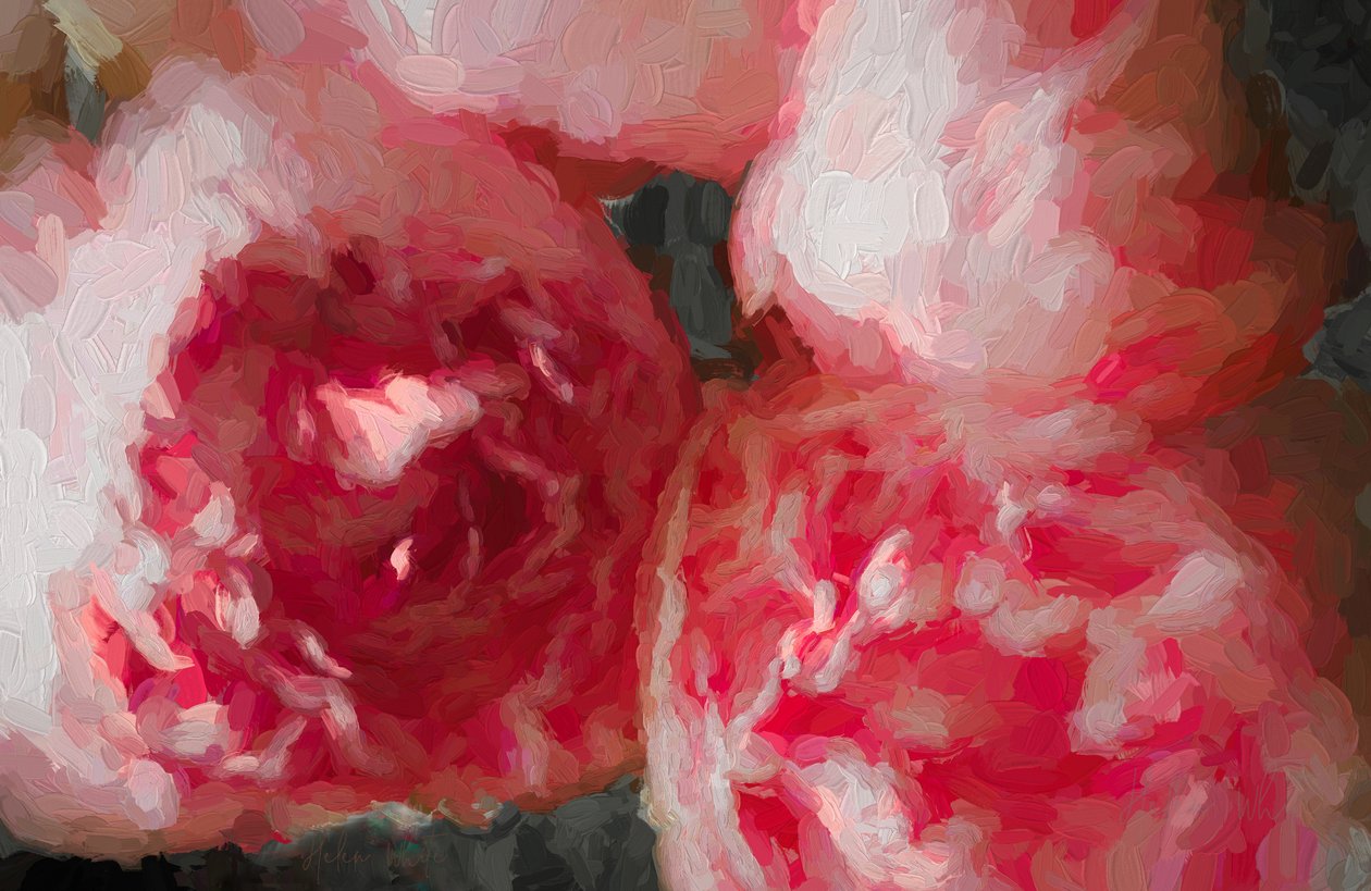 Rosa pioner, 2018, av Unbekannt Unbekannt