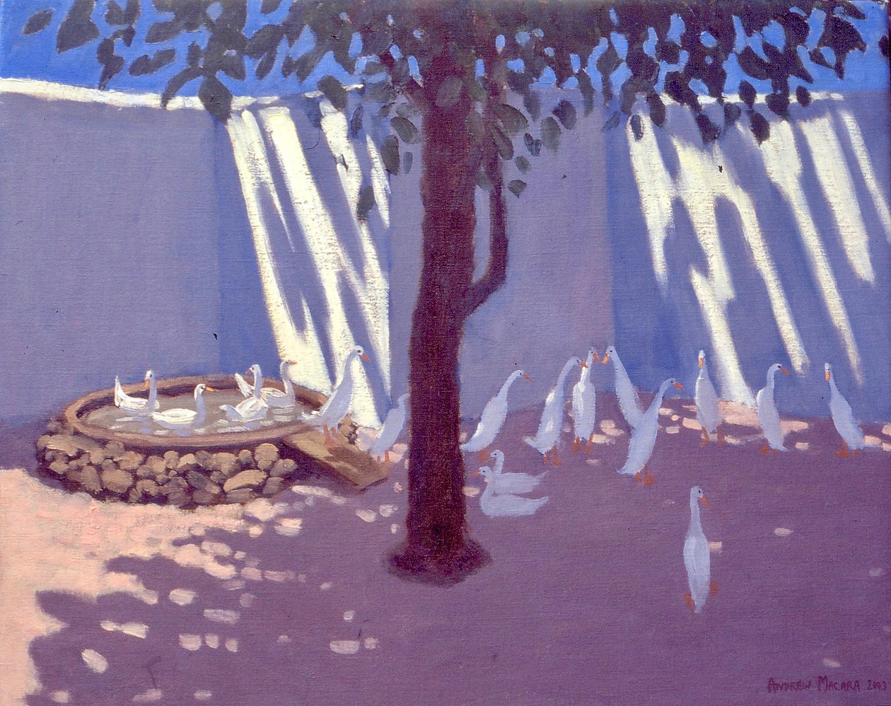 Runner Ducks, Sydafrika, 2011 av Unbekannt Unbekannt