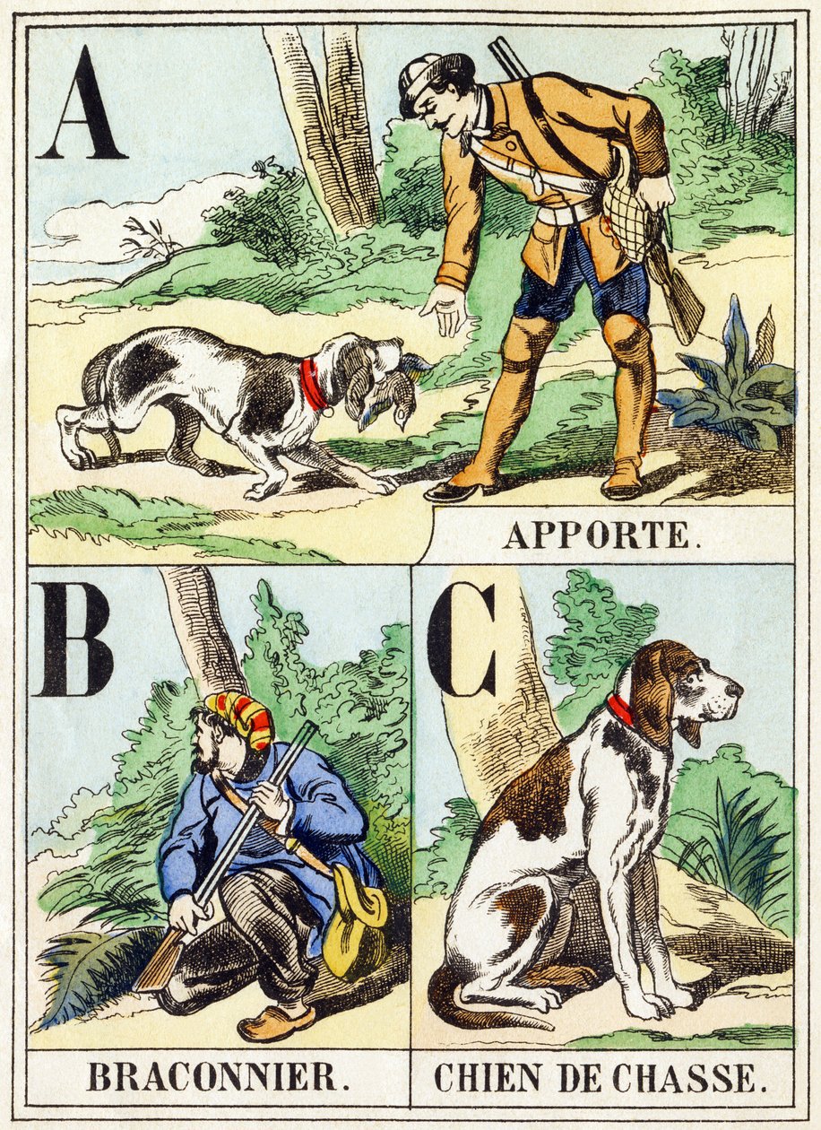 A B C: Bring, Poacher, Hunting Dog - The Hunting Alphabet, c.1890 (gravyr) av Unbekannt