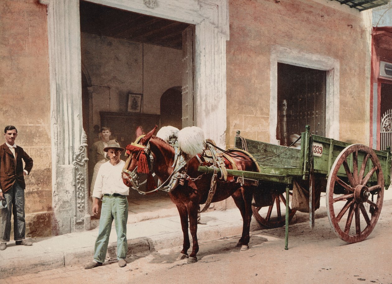 En mulevagn i Havanna ledd av - säljare (foto) av Unbekannt