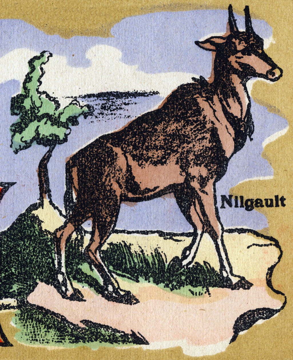 En Nilgault. Illustrerat alfabet. Bilder återförenades i Jarville-Nancy, början av 1900-talet. Mått: 40 x 29 cm. Litografi på en bistre bakgrund av Unbekannt