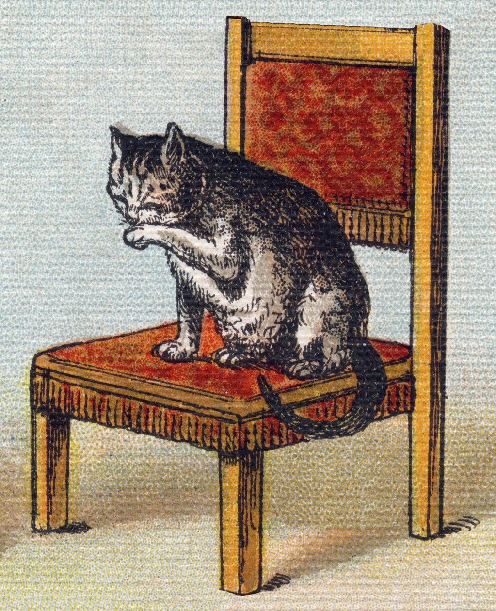 En katt på en stol. Gravyr i "Alphabet de ma petite fille". Bernardin-Bechet och Fils, bokhandlare-förlag, Paris, omkring 1895. Okrossbart album på duk. Bibliotheque des Bebes. 12 sidor. Album innehållande en läsmetod och en illustrativ abeceda av Unbekannt