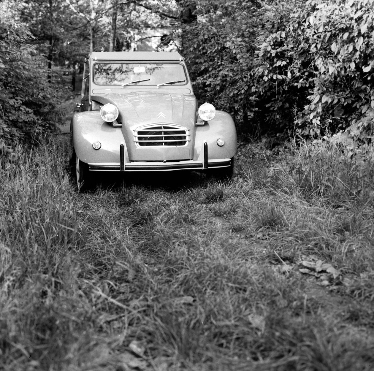 En familj som reser i sin Citroen 2CV, Monza av Bartolome Esteban and studio Murillo