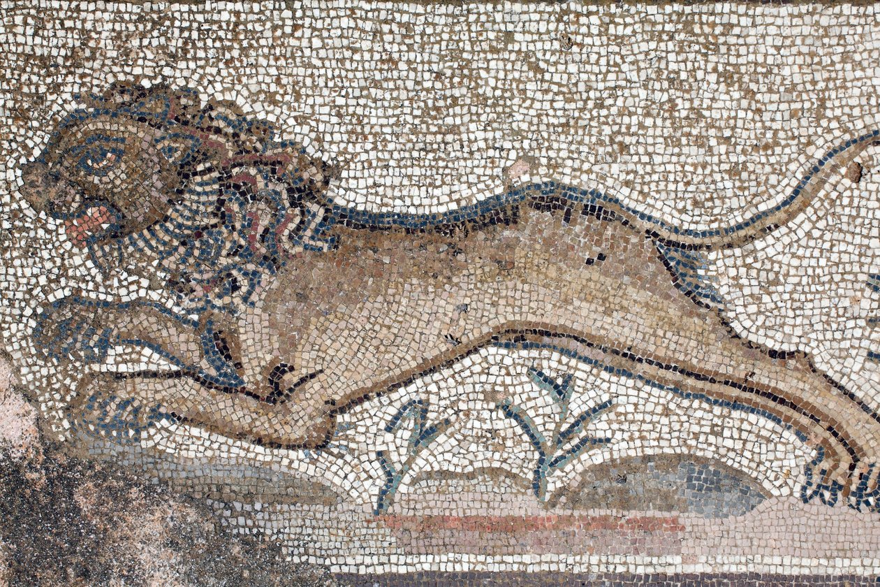 Ett lejon - Detalj från en fris som skildrar scener från en jakt bredvid panelen som representerar det första badet av Achilles - Paphos Mosaics, Villa of Theseus, 500-talet e.Kr. - Cypern - Ett lejon - Detalj av en fris som skildrar jaktscener runt Mosaic av William M. Timlin