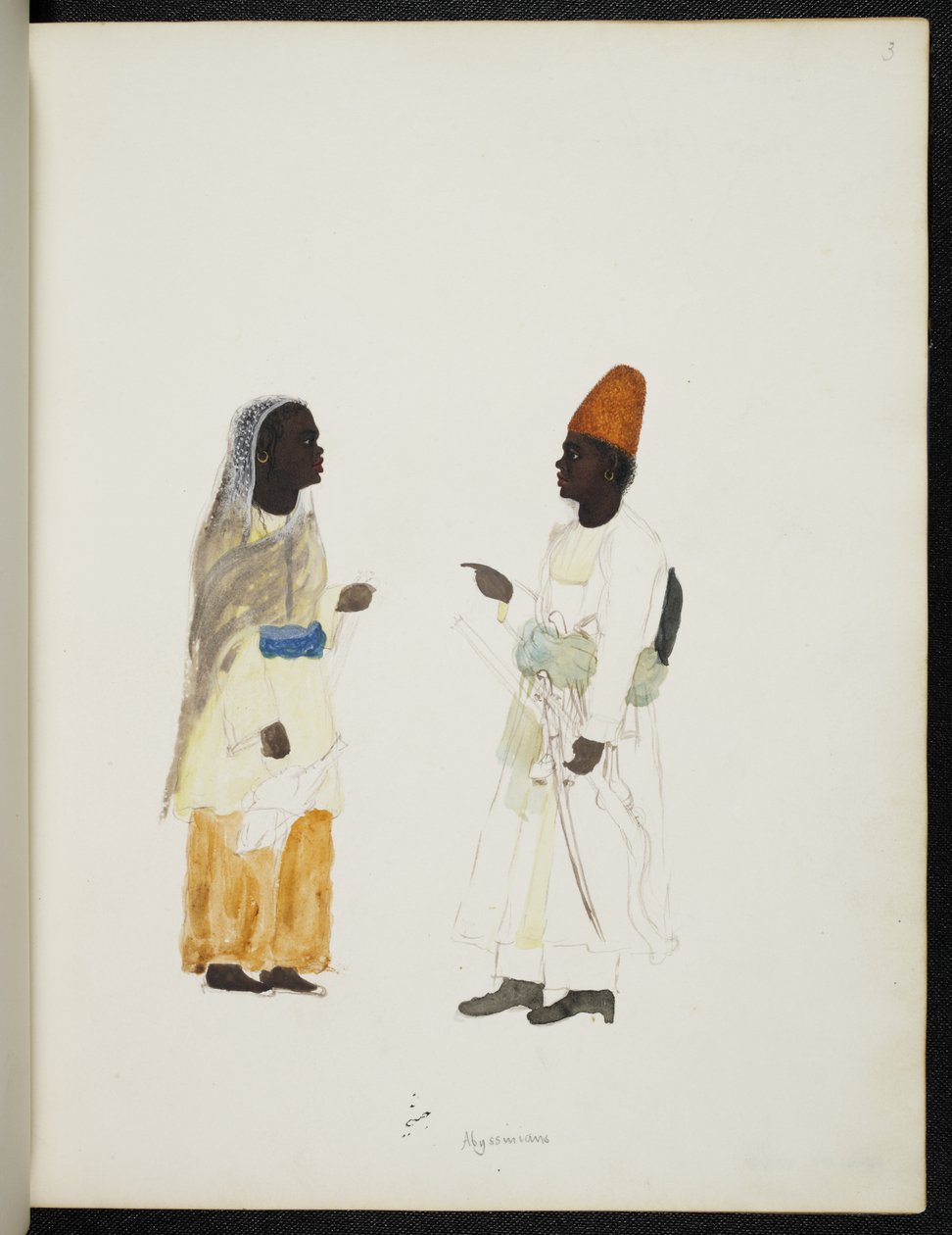 Add Or 1349 Abyssinians, Company Style Album (akvarell på papper) av Unbekannter Künstler