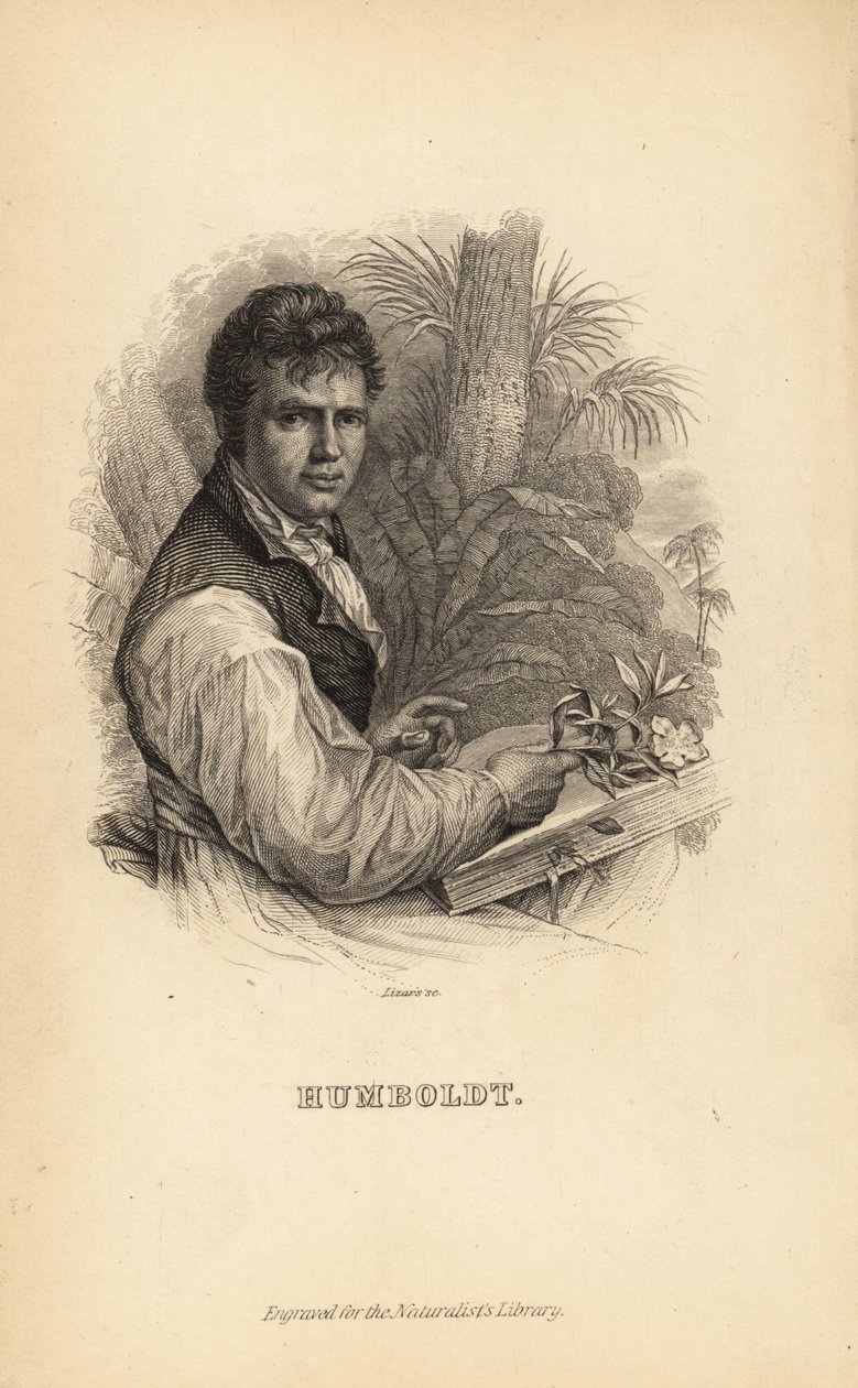 Alexander von Humboldt, tysk upptäcktsresande, naturforskare och botaniker av Unbekannt