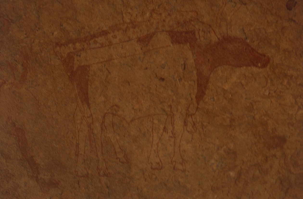 Algeriet, Saharaöknen, Tassili-n-Ajjer nationalpark, platsen för Sefar, klippmålning föreställande tjur. av William M. Timlin