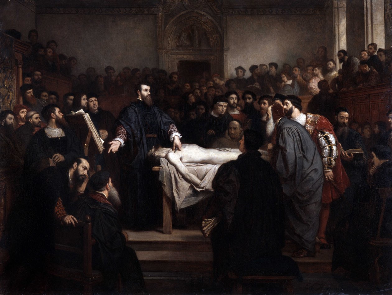 Anatomi lecon. Andre Vesale (1514-1564), flamländsk anatom (Andrea Vesalius eller Andries Van Wesel) i Padua (Padova), Italien av Unbekannter Künstler