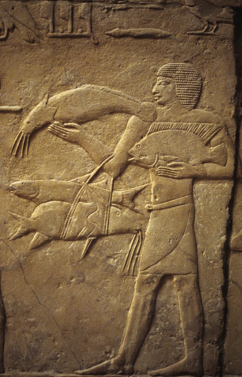 Forntida Egypten: Saqqarah (eller Saqqara eller Sakkarah): det gamla imperiets nekropol, ädel grav.. Detalj av reliefer som representerar en fiskare. av Leopold Blonder