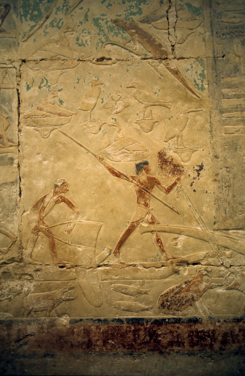 Forntida Egypten: Saqqarah (eller Saqqara eller Sakkarah): det gamla imperiets begravningsplats, ädlingens grav. Detalj av relieferna som visar en fiskeplats. av Leopold Blonder