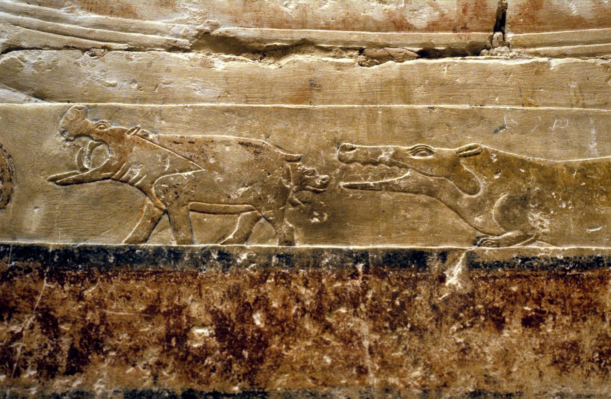 Forntida Egypten: Saqqarah (eller Saqqara eller Sakkarah): Tis grav (officiell under den 5:e dynastin. Detalj föreställande flodhästar. av Leopold Blonder