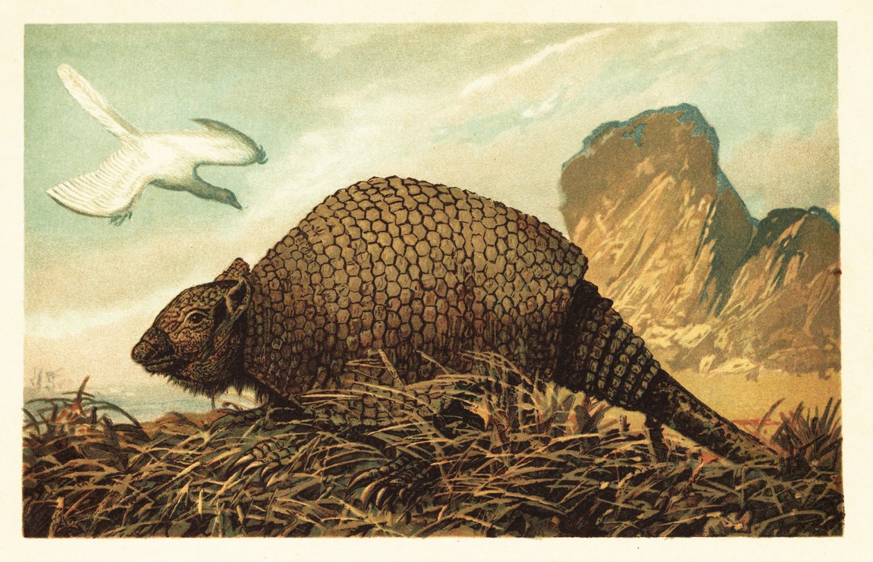 Archeopteryx lithographica och Panochthus tuberculatus.1908 (litografi) av Unbekannter Künstler