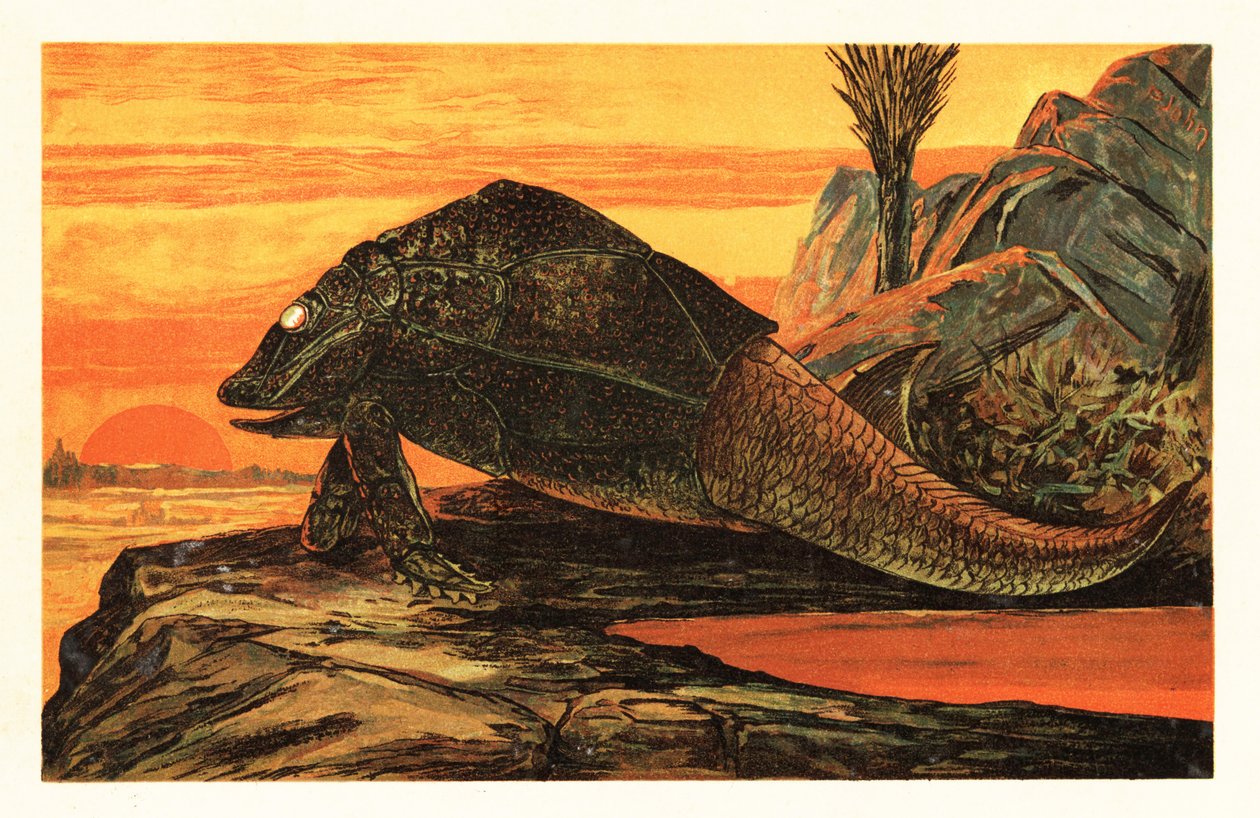 Asterolepis cornutus, utdöd art av pansarpläterad fisk.1908 (litografi) av Unbekannter Künstler