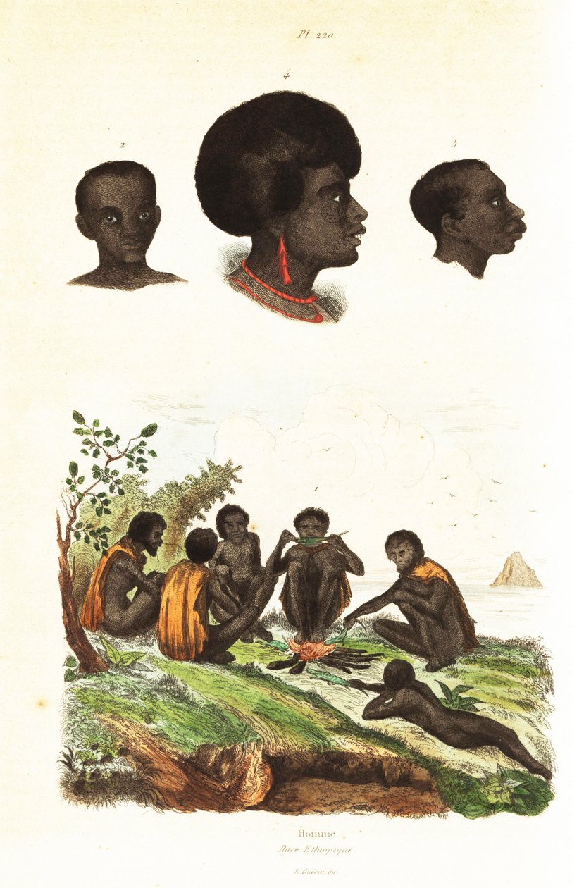 Australiska aboriginer och överhuvuden för infödda i Waigeo, Västpapua1834-1839 (gravyr) av Unbekannter Künstler