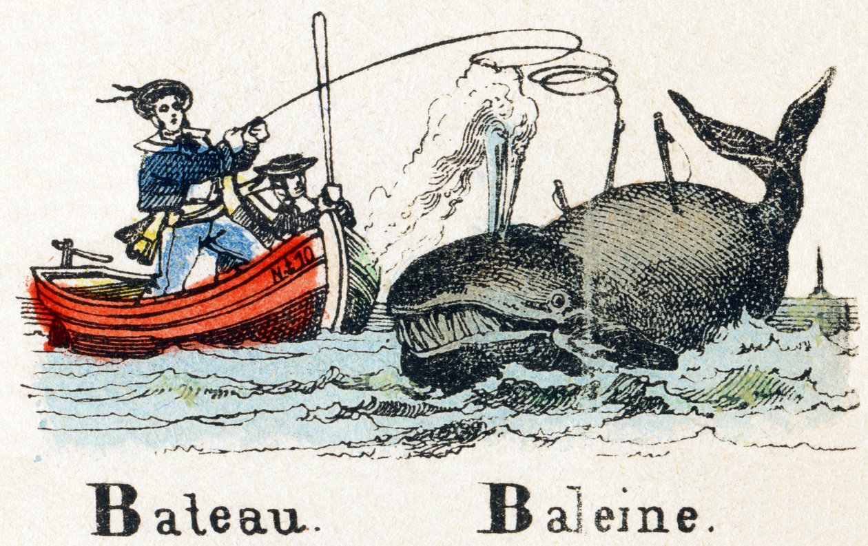 B - Whale Boat - Alfabet - barnunderhållning - Bildepinal, populär serie c.1890 (illustration) av Unbekannt
