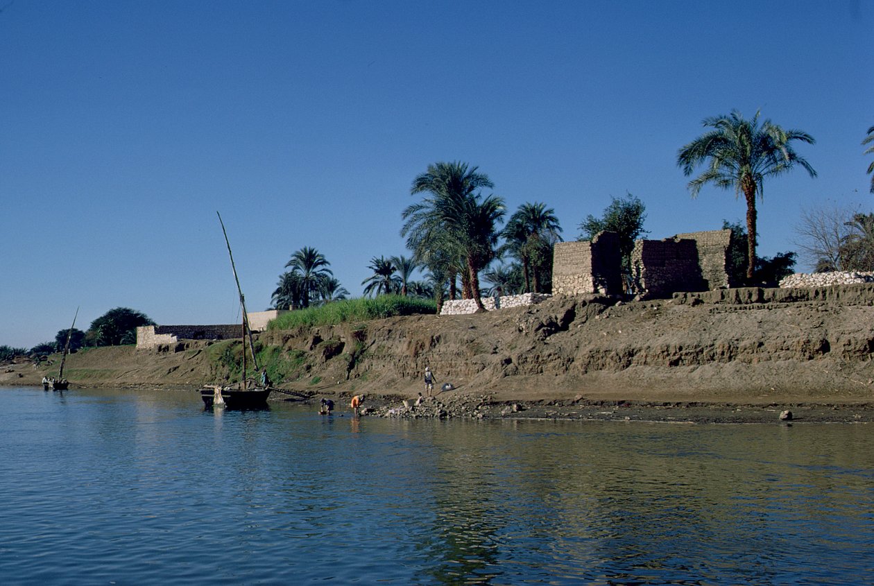 Bank of the Nile (foto) av Unbekannt