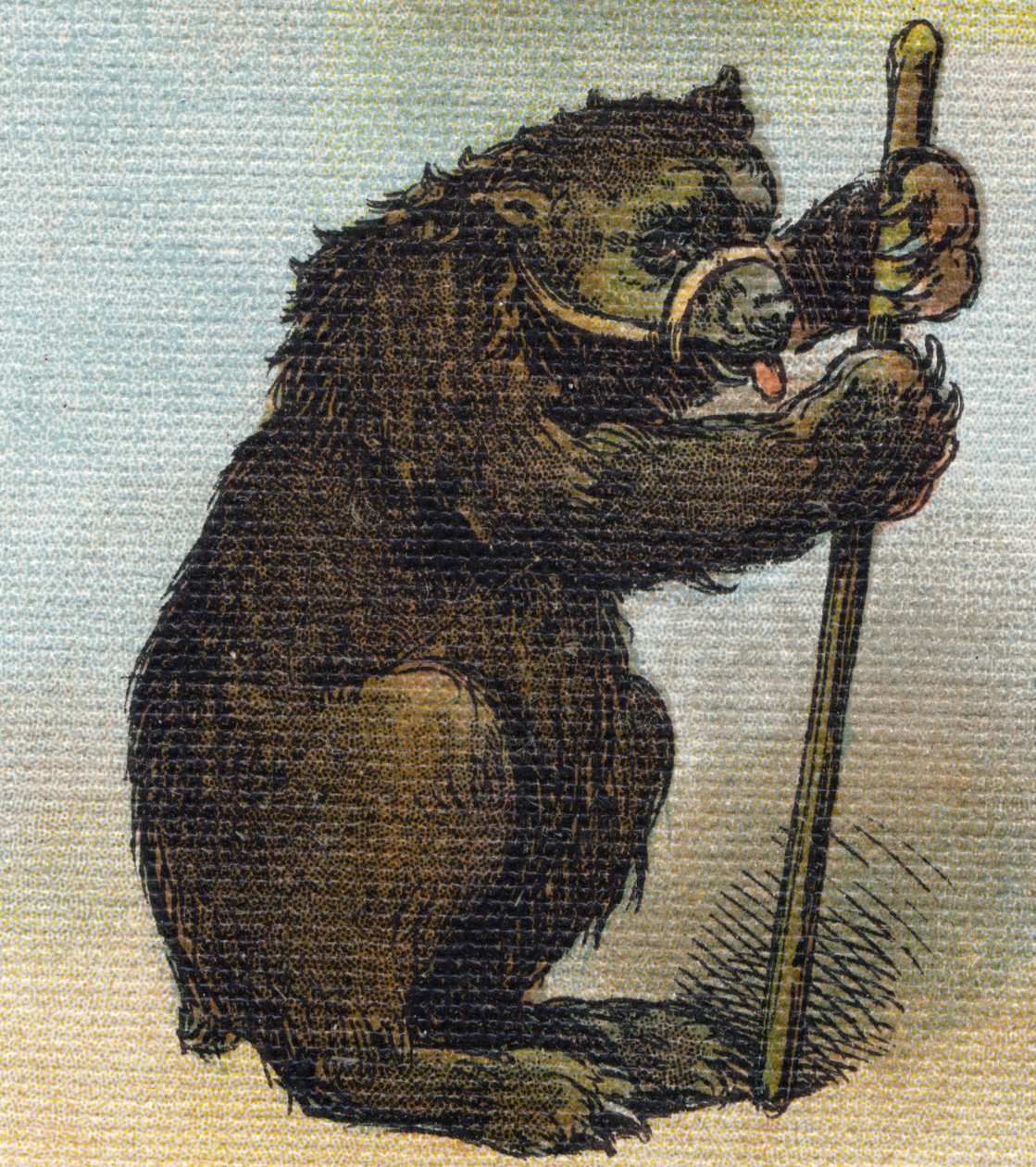 Björn. Gravyr i "Alphabet de ma petite fille". Bernardin-Bechet och Fils, bokhandlare-förlag, Paris, omkring 1895. Okrossbart album på duk. Bibliotheque des Bebes. 12 sidor. Album innehållande en läsmetod och en illustrativ abecedary. Dim: 29, av Unbekannt