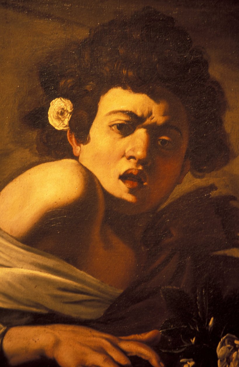 Pojke biten av en ödla (detalj), Caravaggio konstverk, Palazzo Ducale, Genua, Ligurien, Italien av Unbekannt