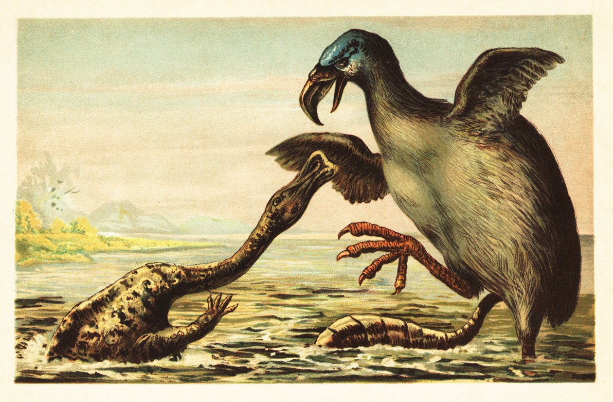 Brontornis kämpar mot en Hadrosaurus. 1908 (litografi) av Unbekannter Künstler