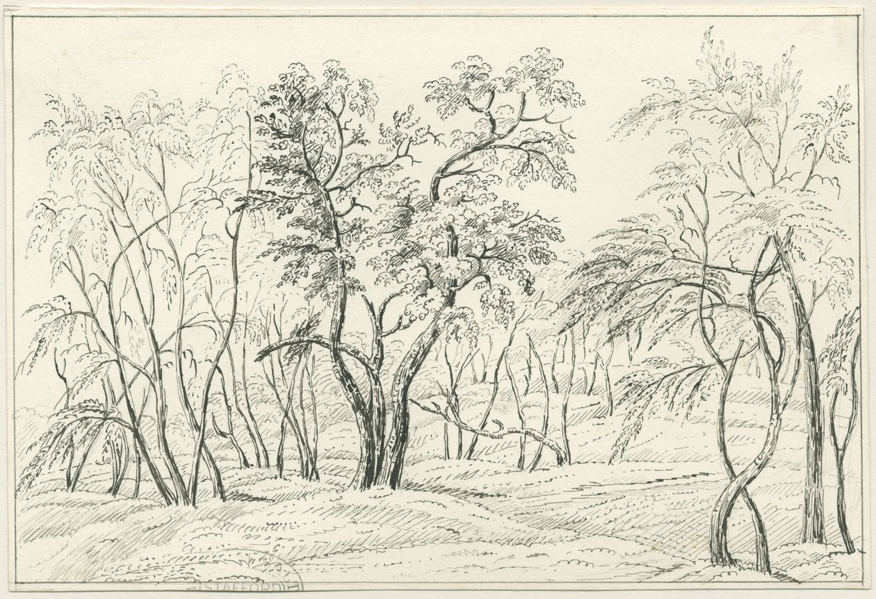 Cannock Chase: penn- och pennteckning, nd [? 1800-talet] av Unbekannt