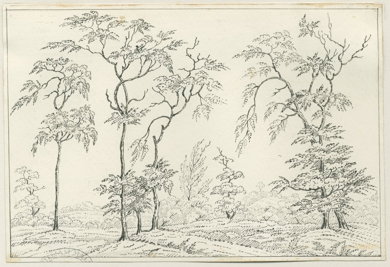 Cannock Chase: penn- och pennteckning, nd [?1800-talet] av Unbekannt