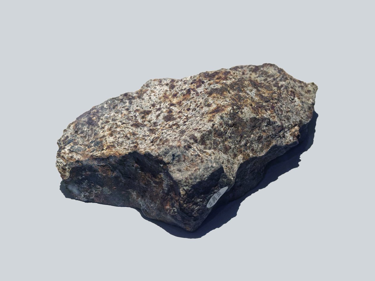 Chondrite Ordinary (L5). Tombe en Valera (Venezuela) 1972. Naturhistoriska museet, London. av Unbekannt