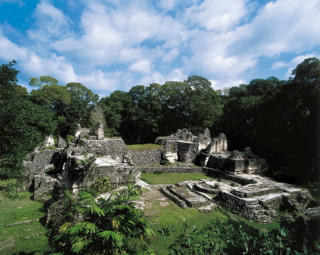 Förcolumbiansk civilisation: utsikt över Maya-platsen Uaxactun (Grupp A). Petén, Guatemala. av Alec Hunter