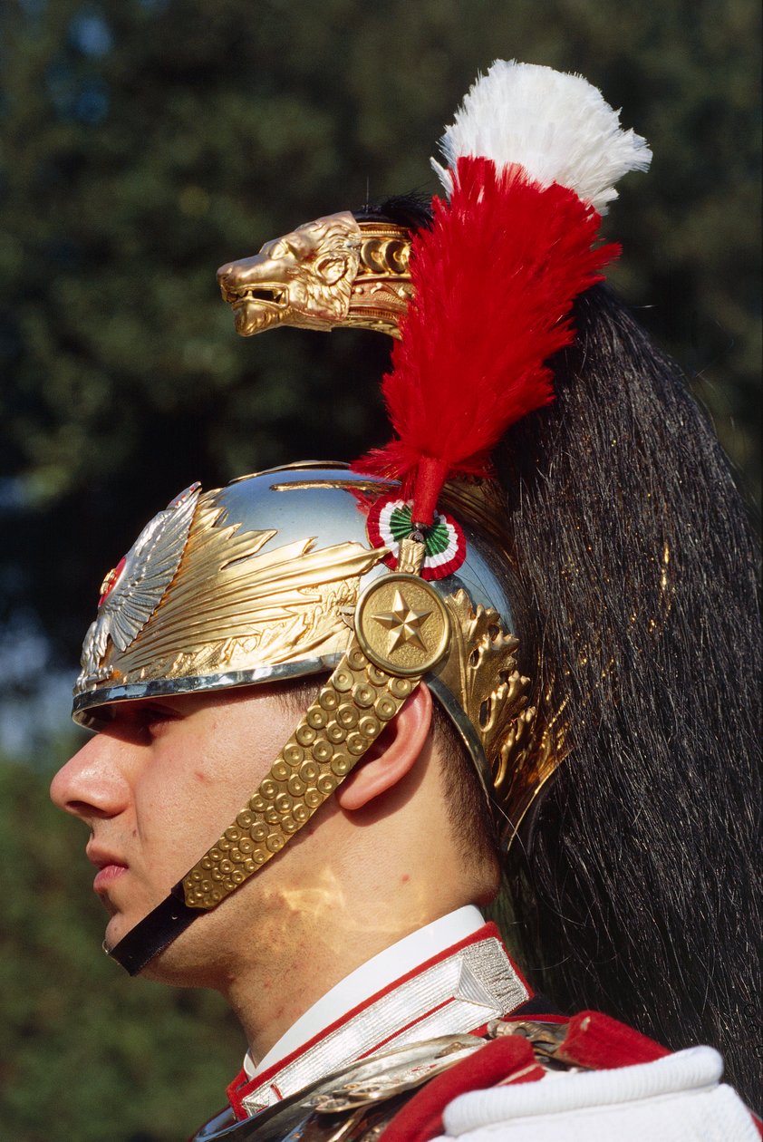 Närbild av cuirassier bär hjälm av Benjamin Baud