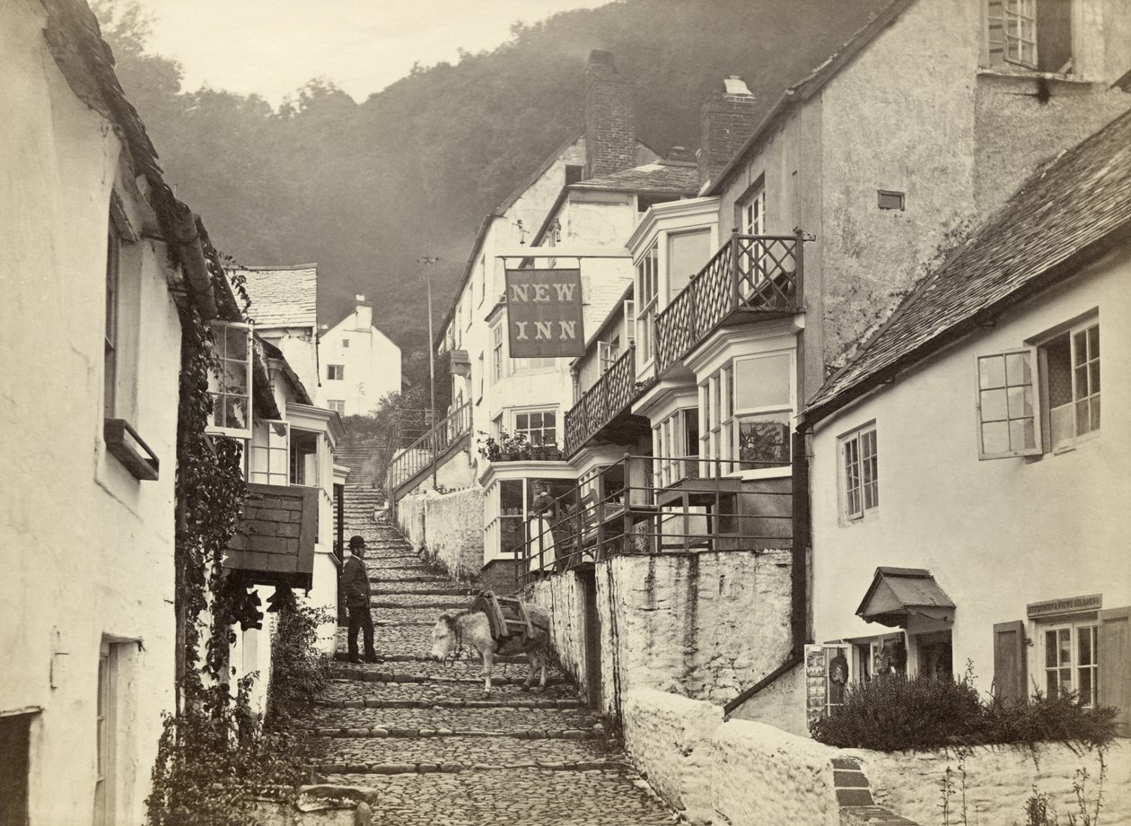 Clovelly, Torridge, Devon, Storbritannien (s/v foto) av Unbekannter Künstler