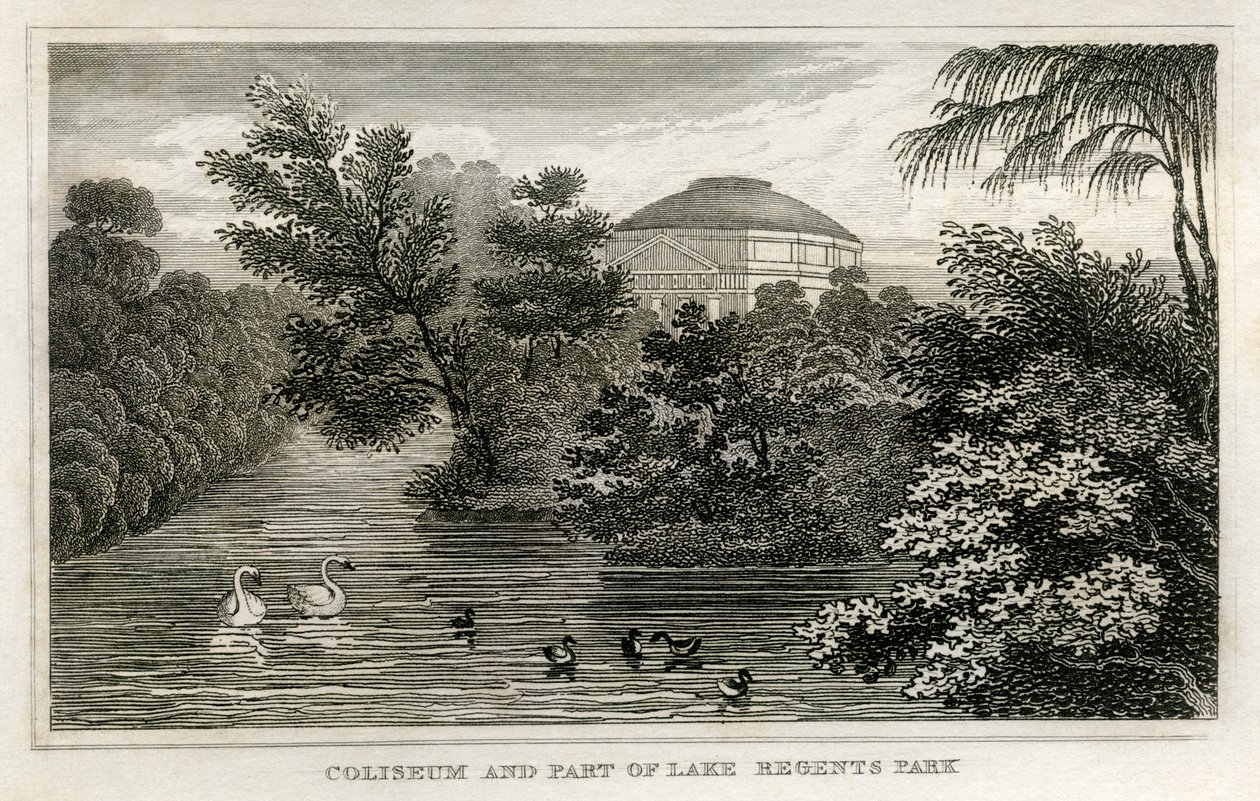 Colosseum och sjö, Regent