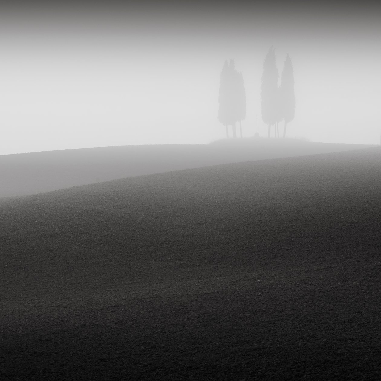 Konferens, Toscana, Italien, 2015 (s/v foto) av Leopold Blonder