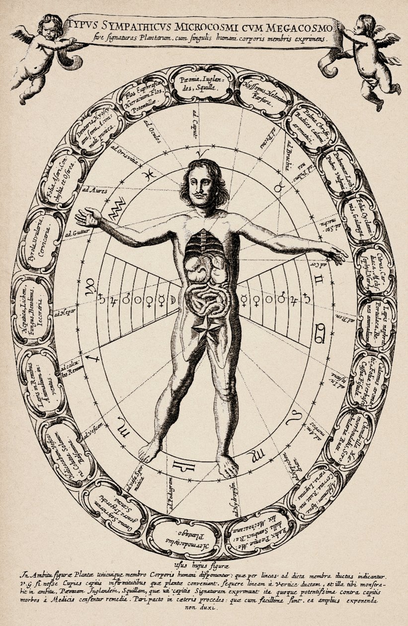 Korrespondens mellan mikrokosmos och makrokosmos. Plansch hämtad från "Mundus subterraneus" av Athanase Kircher (1601-1680) av Unbekannter Künstler