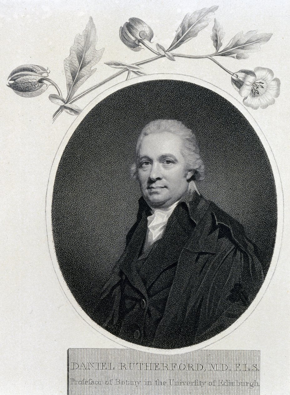Daniel Rutherford, skotsk kemist och botaniker, tidigt 1800-tal av Unbekannt