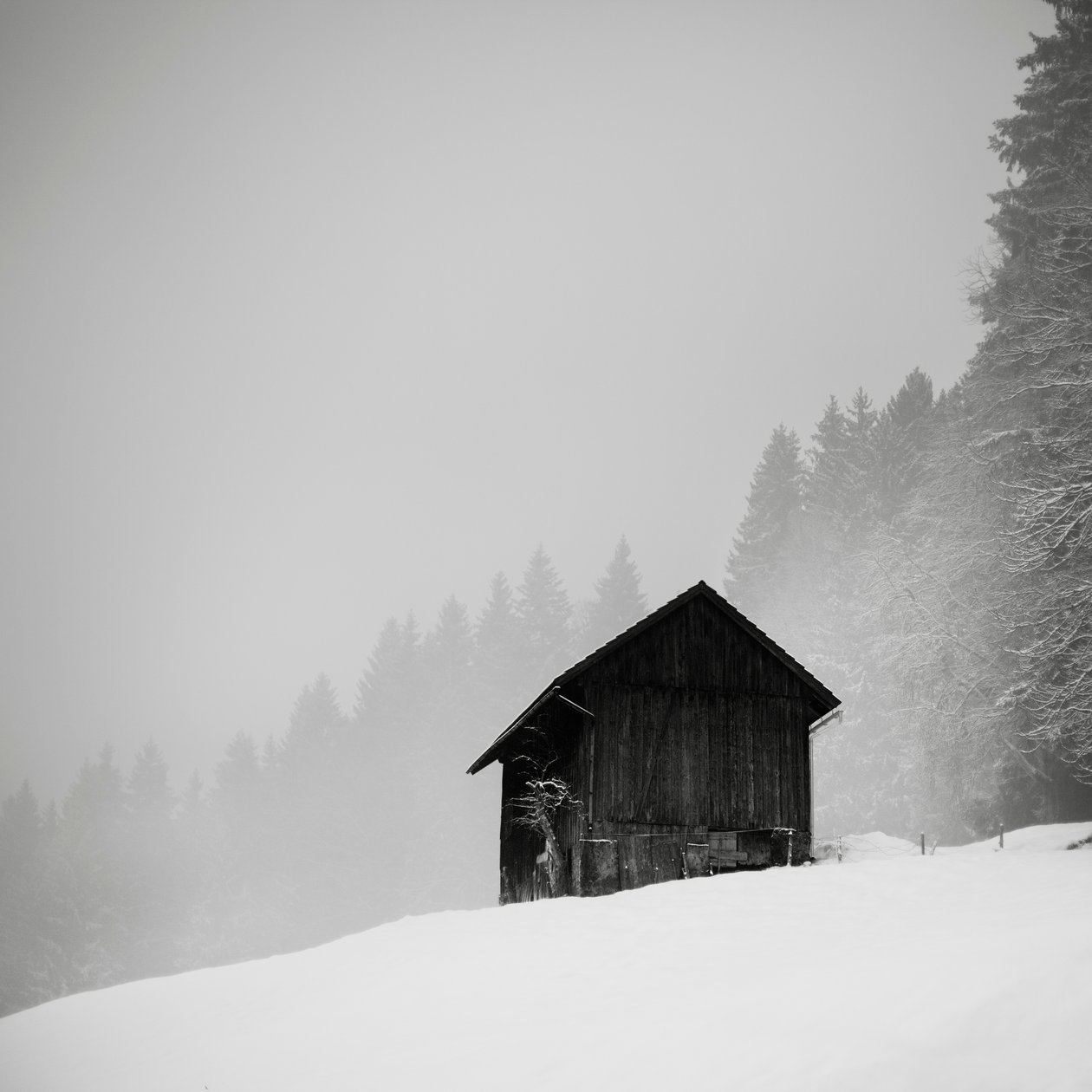 Röjningens hemlighet, Oberstaufen, Tyskland, 2013 (s/v foto) av Leopold Blonder