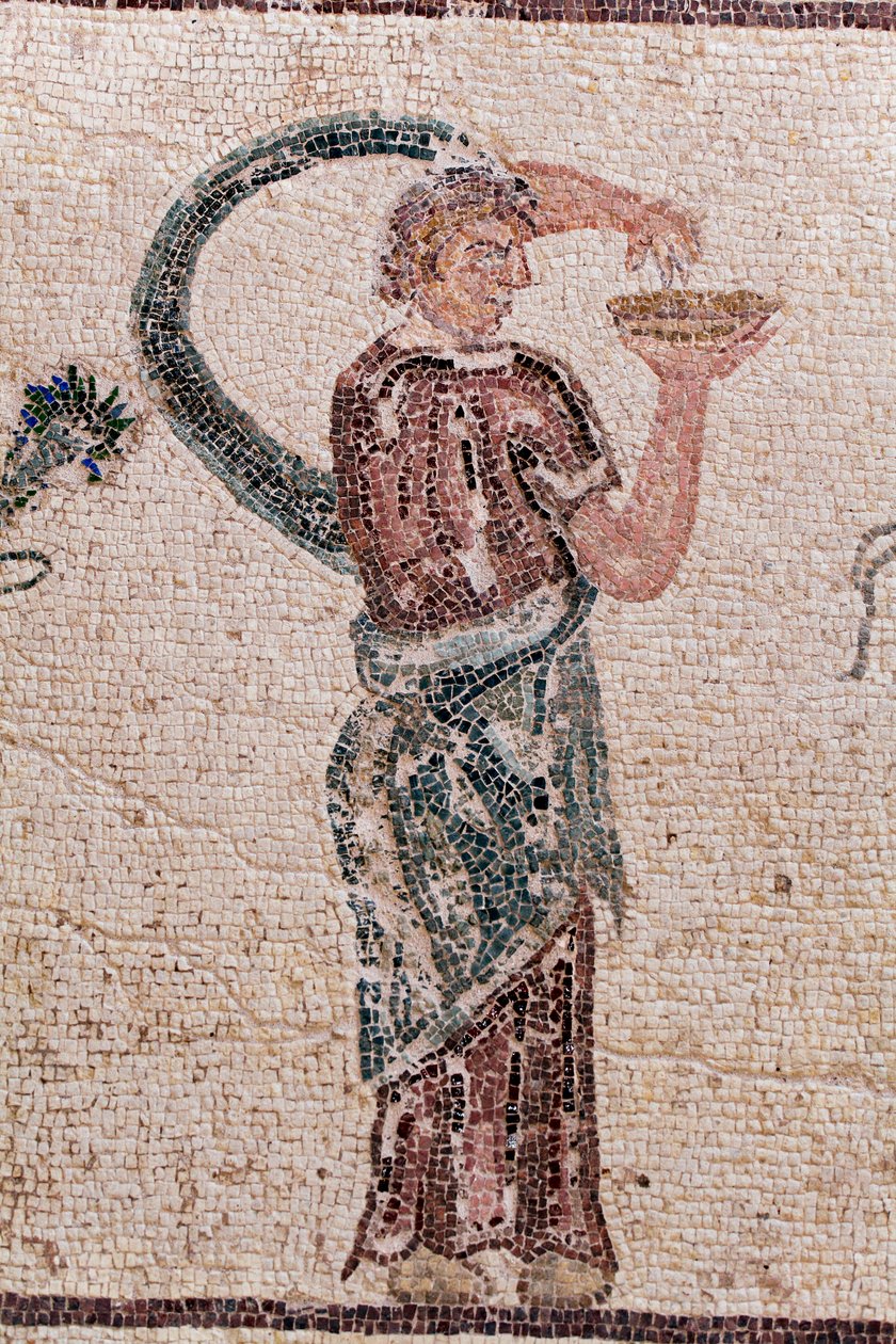 Detalj av Dionysos triumf - Gudens återkomst från en militärexpedition till Indien - En Baccante som håller i en drickskål - Paphos mosaiker, House of Dionysos, slutet av 2:a århundradet e.Kr. - Cypern - Dionysos triumf - Lång mosaik som återspeglar tri av William M. Timlin