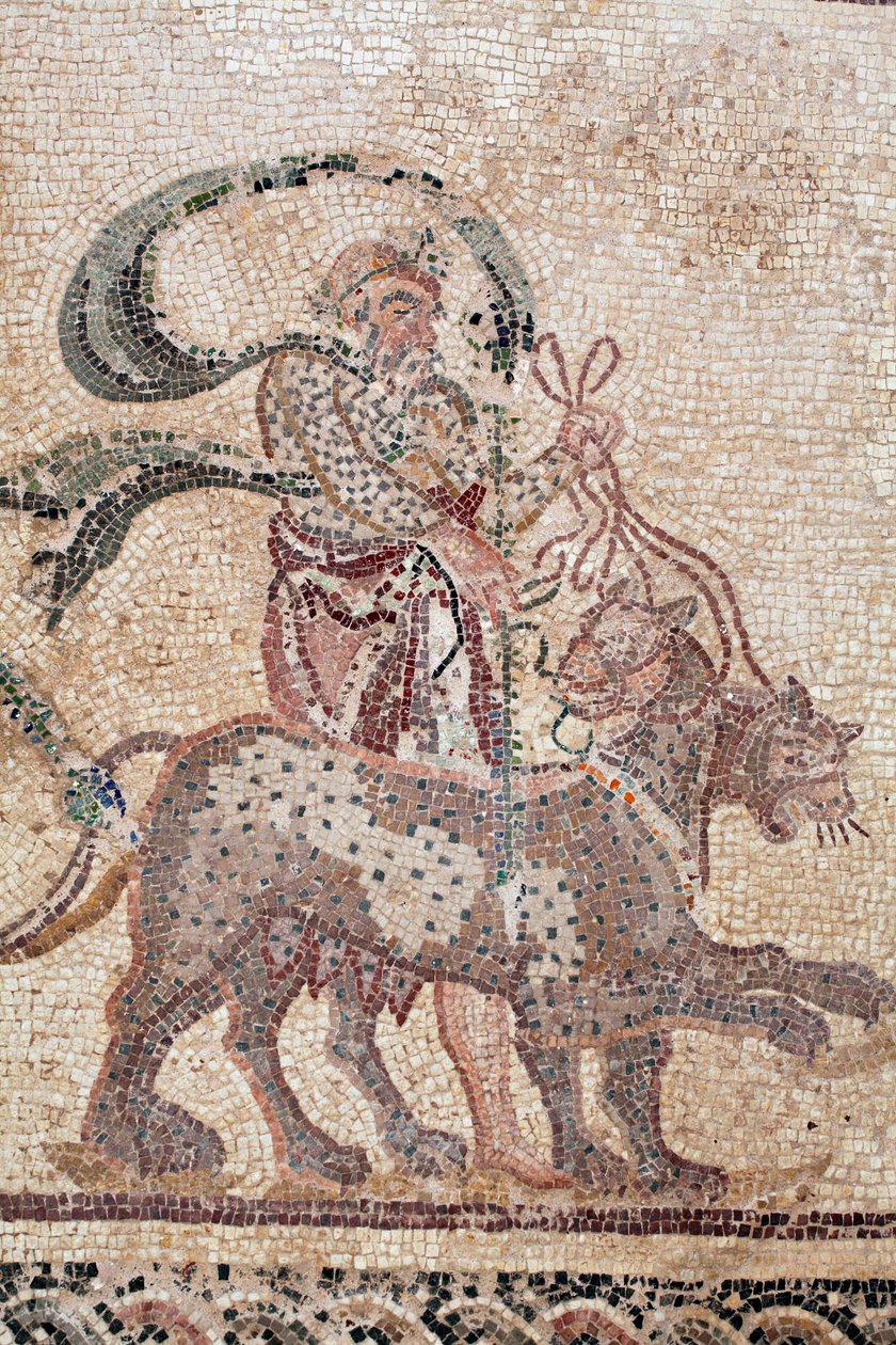 Detalj av Dionysos triumf - Gudens återkomst från en militärexpedition till Indien - Silenus som håller i pantrarnas tyglar - Paphos mosaiker, House of Dionysos, slutet av 2:a århundradet e.Kr. - Cypern - Dionysos triumf - Lång mosaikåtergivning av William M. Timlin