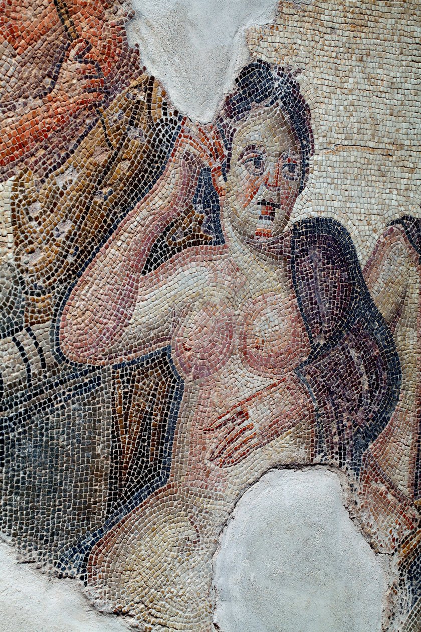 Detalj av panelen som visar Leda, drottning av Sparta, i sällskap med de lakedaemoniska flickorna, på väg att ta ett bad i Eurotas-floden - Hon blir kontaktad av Zeus förklädd till svan - Paphos Mosaics, House of Aion, 300-talet e Kr - Cypern - D av Unbekannter Künstler
